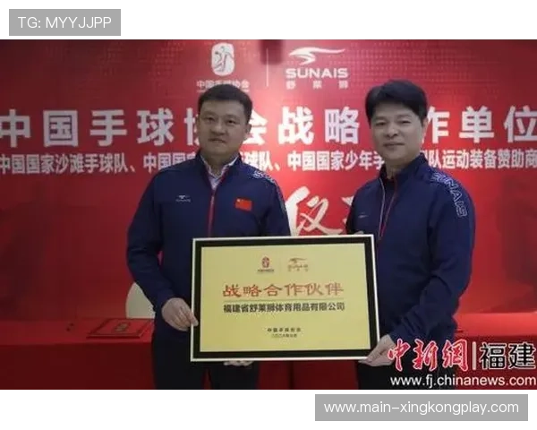 手球协会公布联赛转会细则,手球联赛会徽设计 手球协会公布联赛转会细则,手球联赛会徽设计